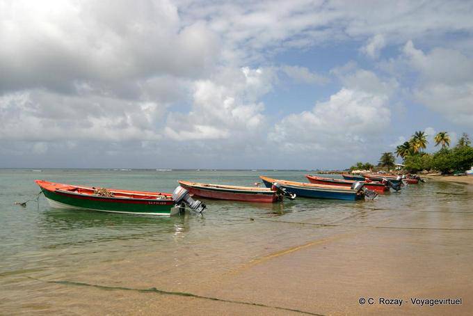 Alinhamento de barcos de pesca na praia, Anse l'Etang, La Caravelle - Martinica