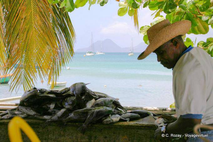 Fisherman vendendo seu peixe - Martinica