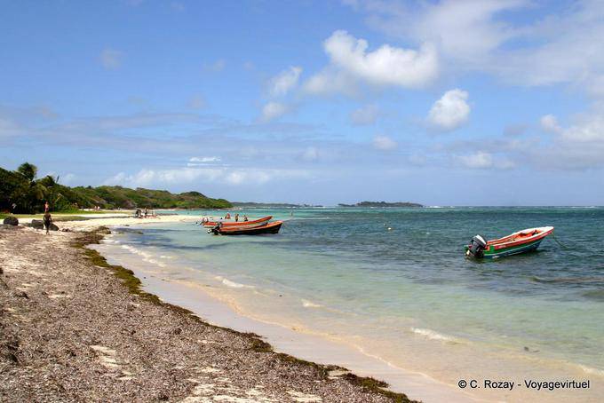 Anse Michel (local a confirmar) - Martinica