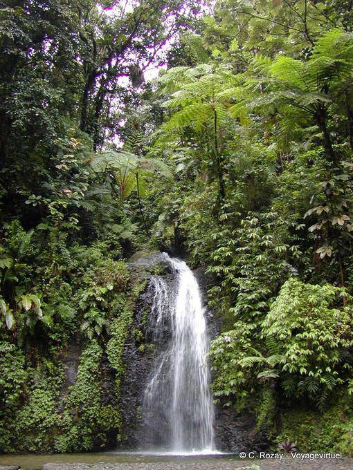 A cachoeira Saut Gendarme - Martinica