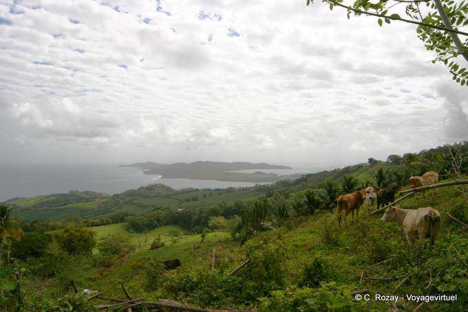 Com vista para a península de La Caravelle do alto - Martinica