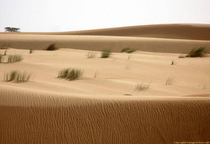 Cores do deserto, a partir de Nouakchott para a fronteira marroquina, Mauritânia