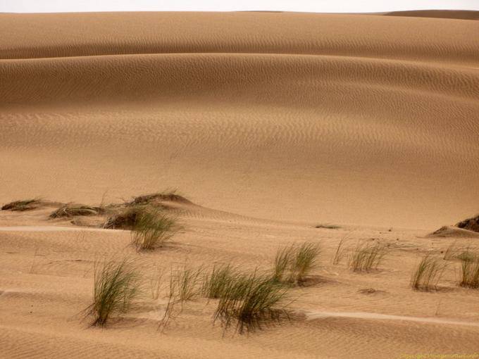 Dobre duna no deserto entre Nouakchott e fronteira de Marrocos, Mauritânia