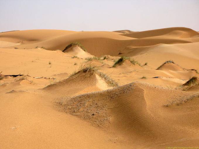 Mini dunas entre Nouakchott e da fronteira com Marrocos, Mauritânia