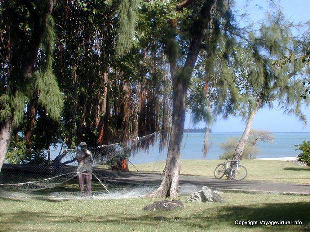 Pescador e sua rede nas árvores, Tamarin, Maurícias.