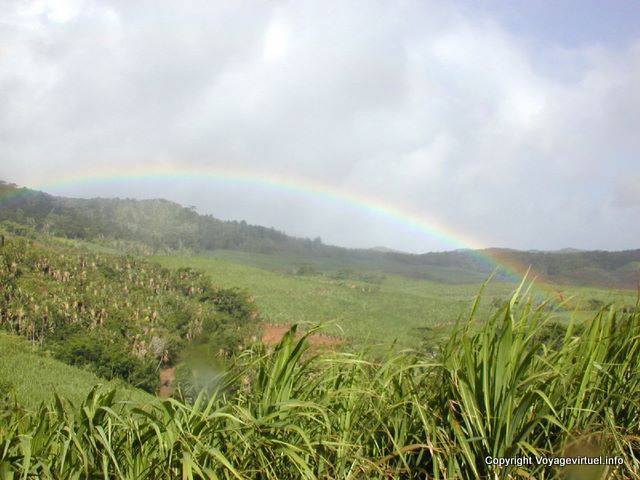 Arc-en-ciel em campos de cana de açúcar, Plaine Champagne, Maurícias.