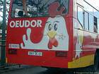 Oeudor, a publicidade na traseira de um ônibus, Maurícias.