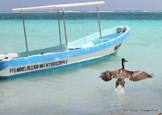 O Voo da Pelican, Puerto Morelos - México