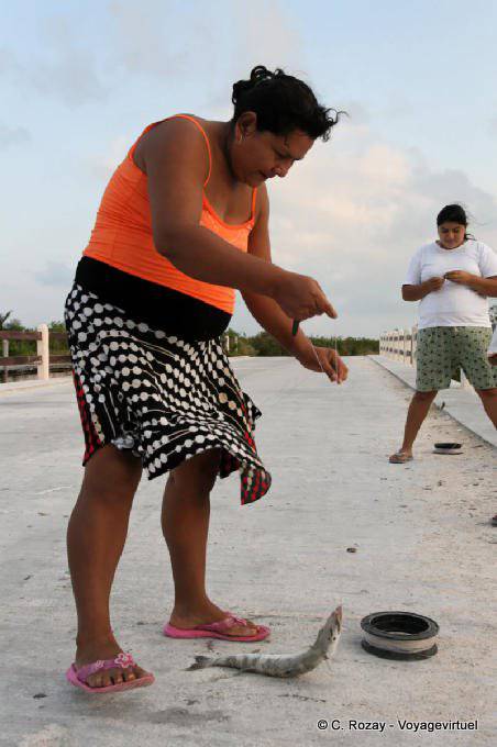 Linha de pesca a partir da ponte, Sian Kaan, Tulum - México