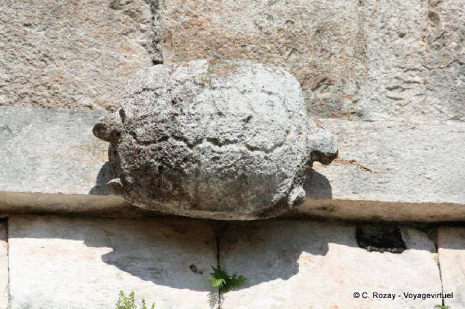 Tartaruga de duas cabeças na frente da Casa das Tartarugas, Uxmal - México