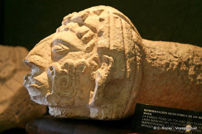 Perfil Maia, Museu de escultura Uxmal - México