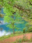 Harmonia de cores, Laguna Azul, Lagunas de Montebello, México.