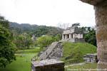 Vista do grupo do norte, Templo del Conde, Palenque, México.