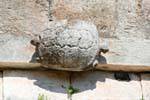 Tartaruga de duas cabeças na frente da Casa das Tartarugas, Uxmal, México.