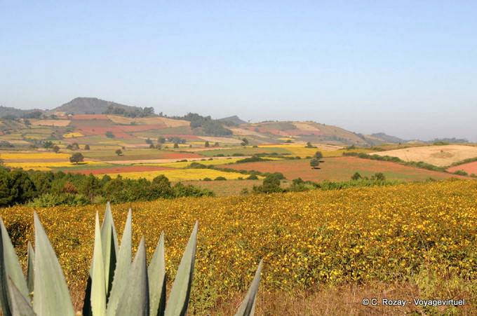 Paisagens da cor ao redor Pindaya - Myanmar (Birmânia)
