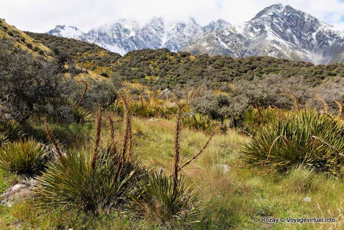 Moraine, Mount Cook Road, Canterbury - Nova Zelândia
