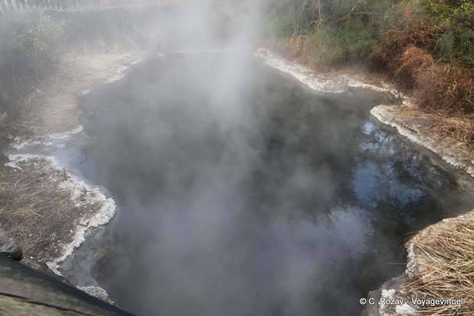 Água quente, Kuirau Park, Rotorua - Nova Zelândia