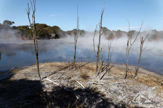 Desolação Volcanic Kuirau Park, Rotorua - Nova Zelândia