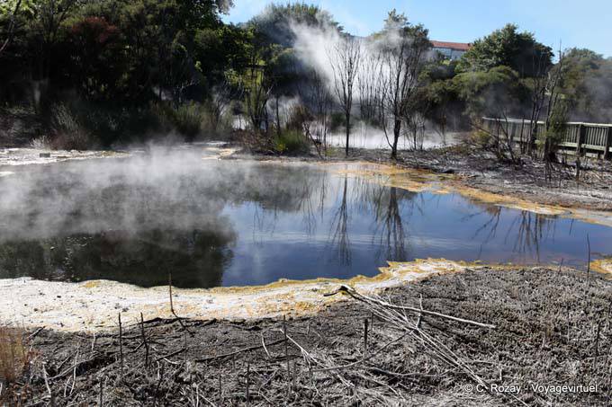 Atividade geotérmica, Kuirau Park, Rotorua - Nova Zelândia