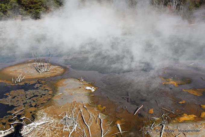 Vapor respirando Terra, Kuirau Park, Rotorua - Nova Zelândia