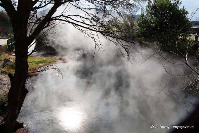 Fumarolas, Tamatekapua, Rotorua - Nova Zelândia