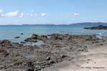 Línguas de lava, Coromandel, Nova Zelândia.
