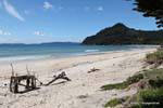 Paisagem da praia e floresta, Coromandel, Nova Zelândia.