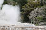 Pohutu Geyser, Whakarewarewa Geyser, Rotorua, Nova Zelândia.
