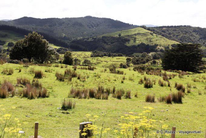 Te Araroa Road, Tikitiki, East Cape - Nova Zelândia