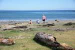 Banhistas na praia, Omaio, East Cape, Nova Zelândia.