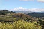 Ruatorua, estrada em direção Tokomaru, East Cape, Nova Zelândia.