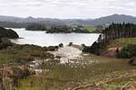 Te Waite baía, Bland Bay, Northland, Nova Zelândia.