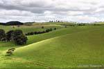 Paisagem em direção Matapouri, Northland Matapourri, Nova Zelândia.
