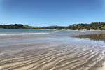 Linda praia de frente para leste, Oakura Bay, Northland, Nova Zelândia.