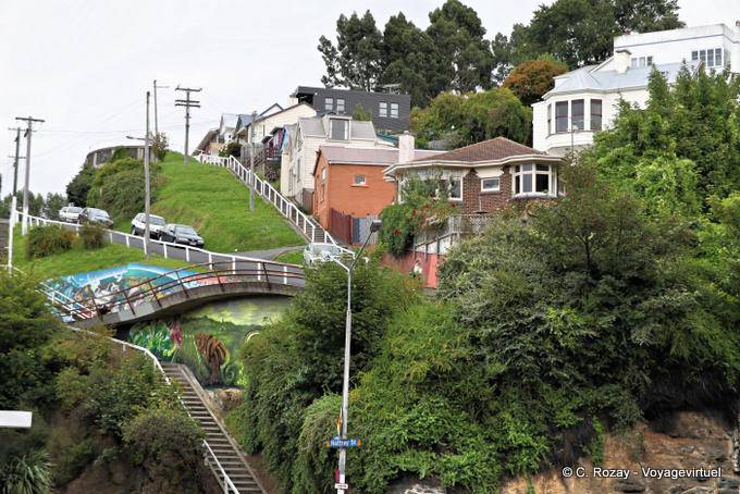 Rattray Rua Dunedin Otago - Nova Zelândia