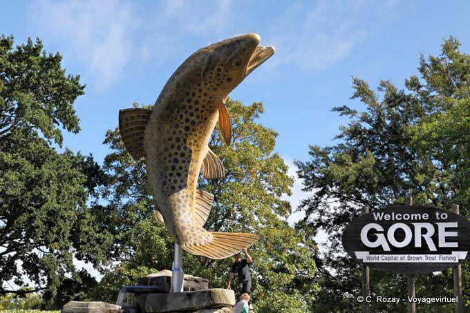 Gore Brown furo da pesca, Otago - Nova Zelândia