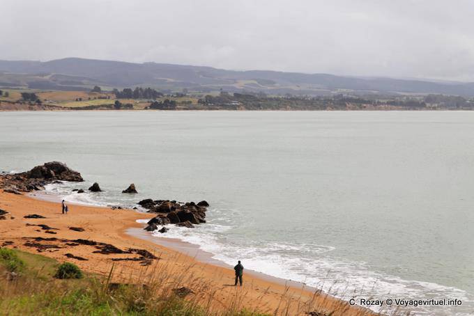 Paisagem, Moeraki, Otago - Nova Zelândia