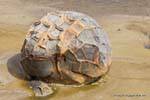 Coração Ball, Pedregulhos Moeraki Scenic Reserve, Otago, Nova Zelândia.