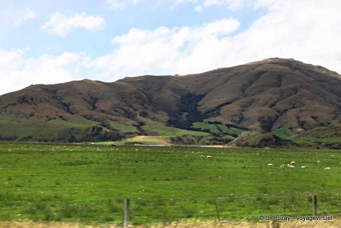 Montanhas e ovelhas, Queenstown Road to Invercargill, Southland - Nova Zelândia