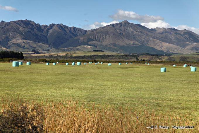Cultura na planície, Estrada de Te Anau a Lumsden, Southland - Nova Zelândia
