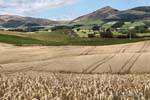 Clinton, Otago, Nova Zelândia.