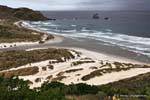Península de Dunedin, Sandfly Bay, Nova Zelândia.
