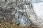 Melody Ice Alpes do Sul da Nova Zelândia, Fox Glacier, Westcoast, Nova Zelândia.