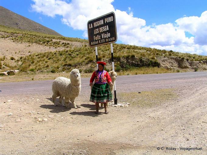 Lamas de Raya, 4335m de altitude, Puno o viaje desea feliz -Peru