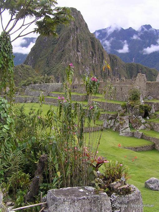 Restos de edifícios em um ambiente bucólico, Machu Picchu -Peru
