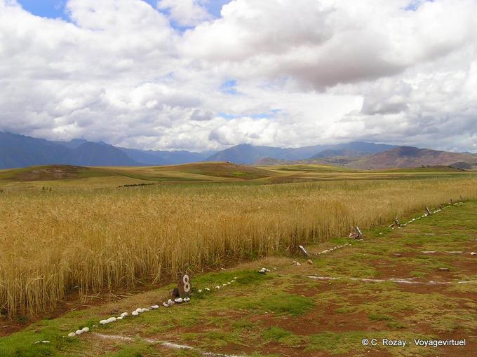 Agricultura codificada, Moray -Peru