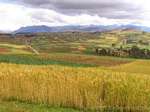 Mosaico da cor realizada por campos cultivados para Chinchero, Peru.
