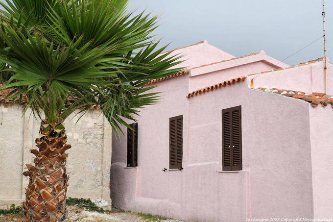 Golfo Aranci, casa-de-rosa e da palma - Sardenha
