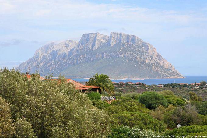 Porto San Paolo, vista Isola Tavolara do campo - Sardenha