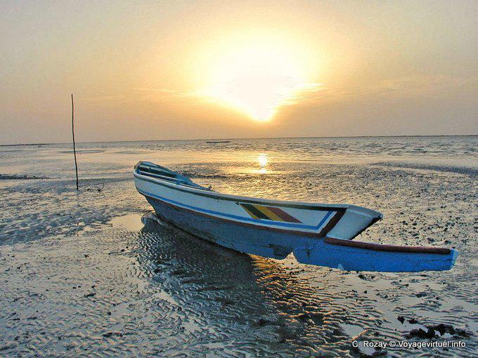 Nariz longo Barque no sol Sine Saloum - Senegal